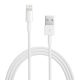 CABLE LIGHTNING T12 6A CARGA RAP (1MT) 630156 KOLKE